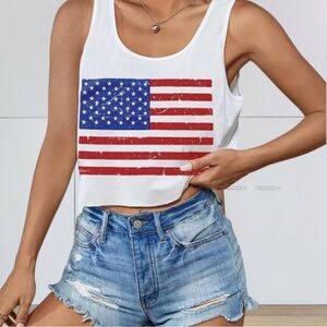 American flag Crop Top
